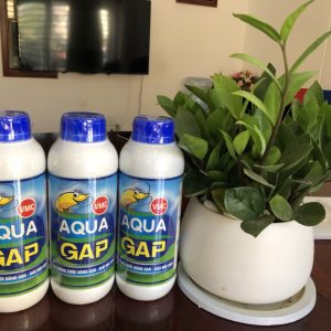 Aqua Gap trong nuôi trồng thủy sản
